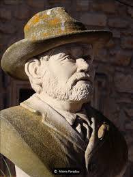 Vente d'huile d'olive extra vierge AOP Les Baux de Provence