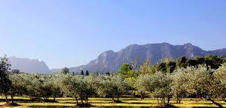 Producteur moulinier Alpilles Arles 13