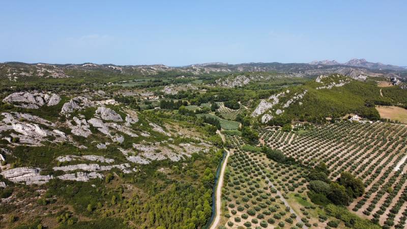 Visiter notre Moulin à huile dans le Parc des Alpilles