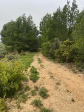 Nos prestations sur le secteur de Arles 13