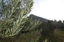 Nos prestations sur le secteur de Arles 13