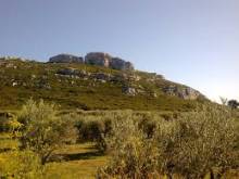 Nos prestations sur le secteur de Toulon dans le Var (83)