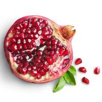 Notre zone d'activité pour ce service Visiter un Moulin à huile dans le Parc des Alpilles près de