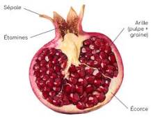 Nos prestations sur le secteur de Les Baux de Provence
