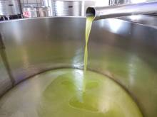 Notre zone d'activité pour ce service Huile d'olive extra vierge AOP