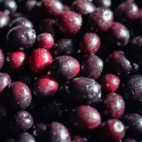 Notre zone d'activité pour ce service Vente de produits du terroir