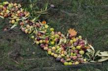 Nos prestations sur le secteur de Aix en Provence (13100)