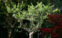 Notre zone d'activité pour ce service Domaine Plaines Marguerite avis